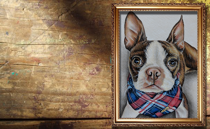 Custom Pet Portraits