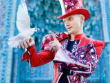 Mega Magic Illusion Show Christmas Events Artists More