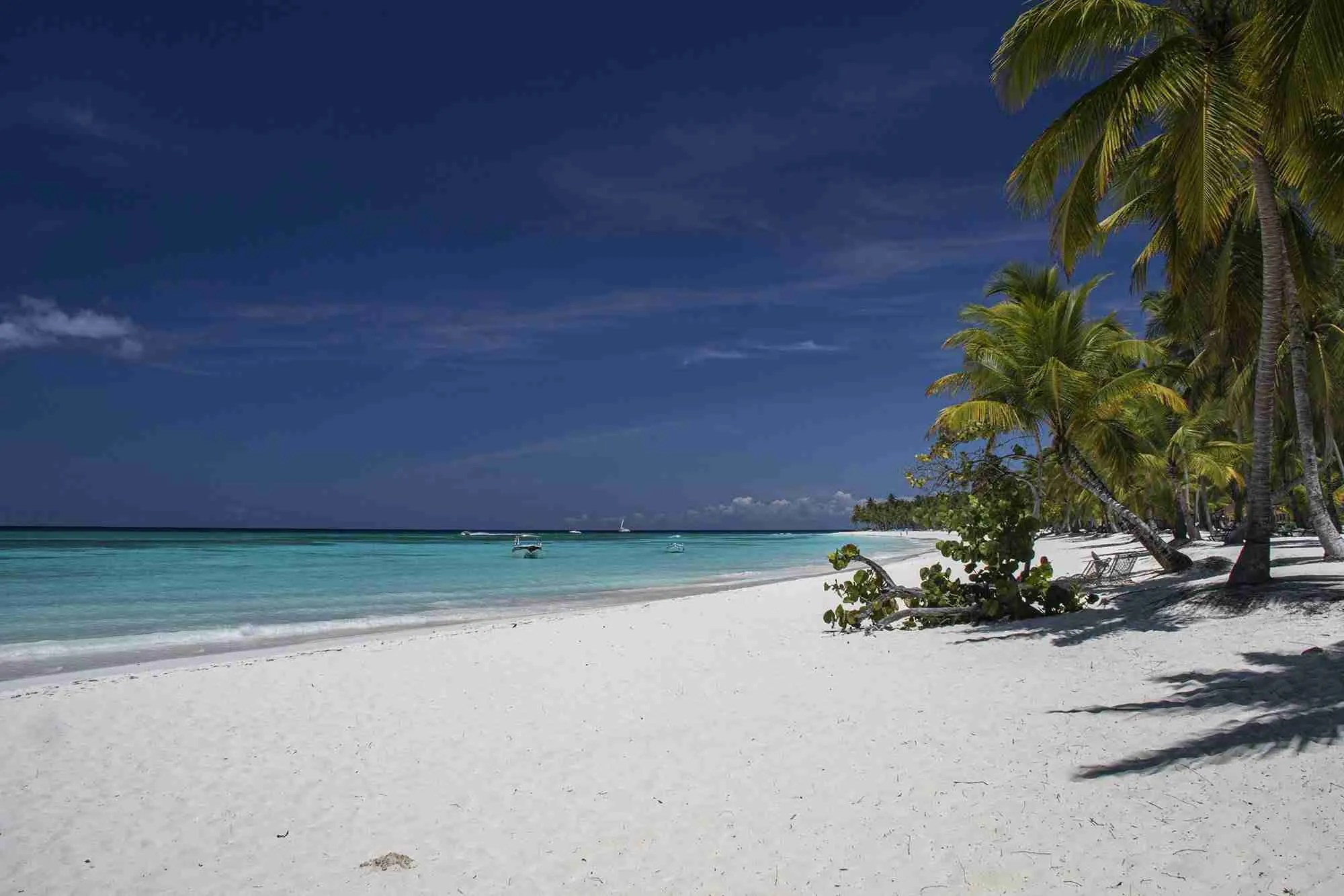 Photo Azure Curve taken in Saona island