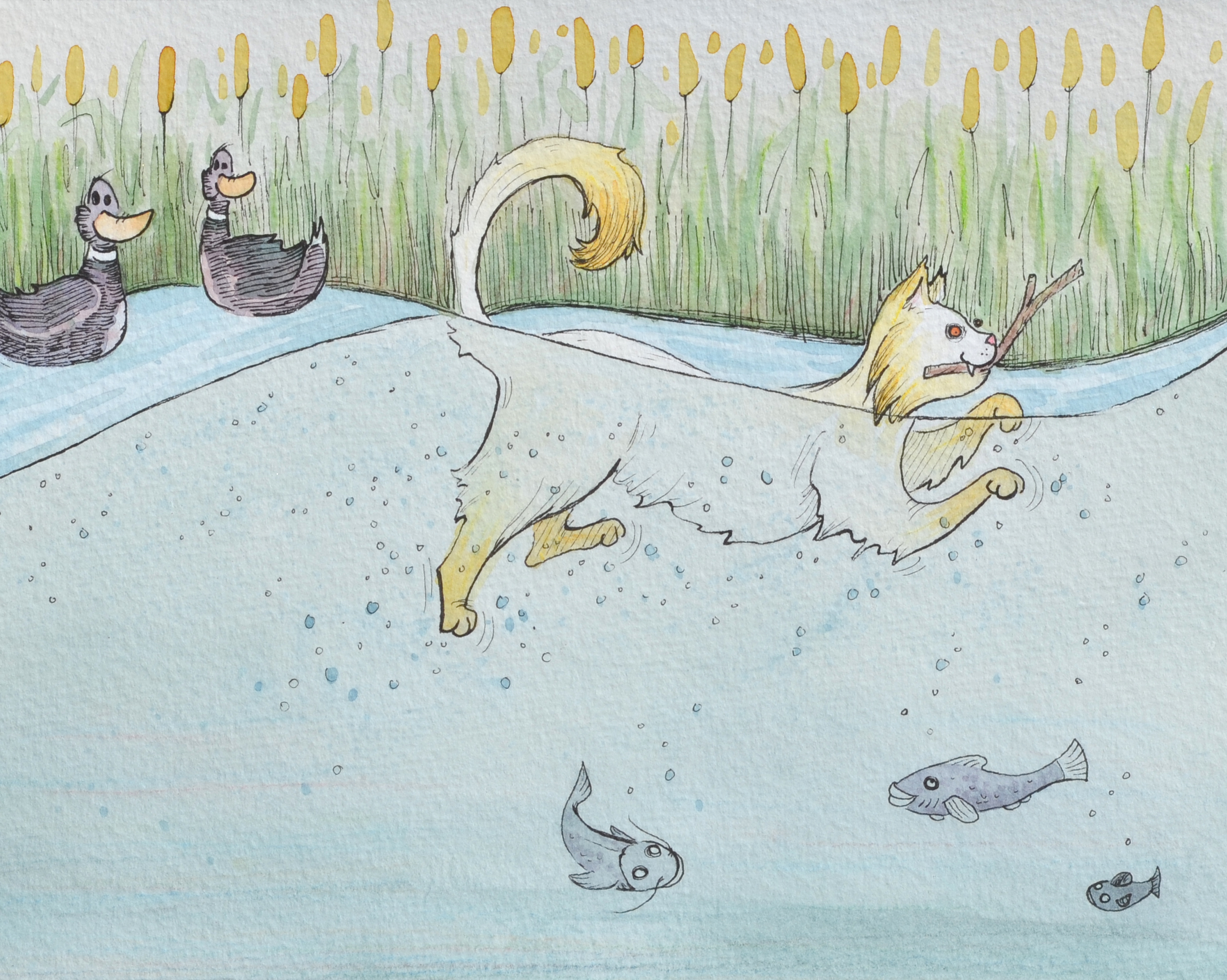 Sample work for Children's Book D.U.C. #1