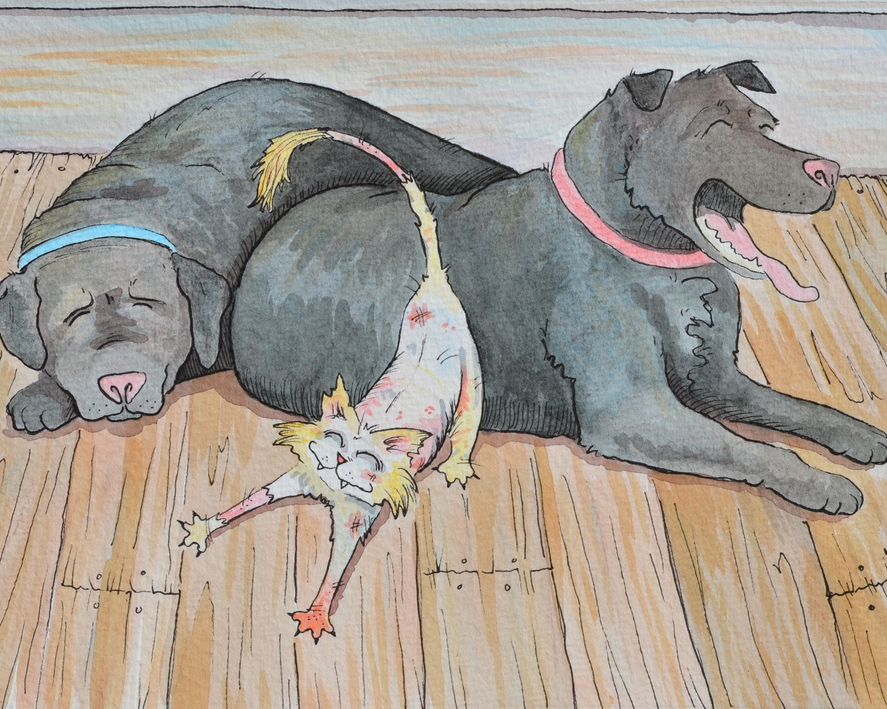 Sample work for Children's Book D.U.C. #3