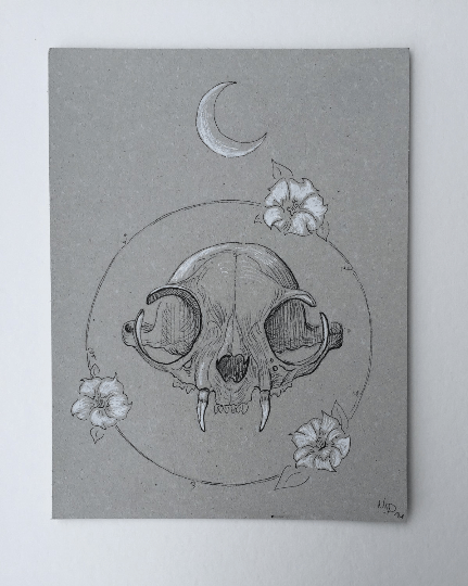 Untitled Bat Skull