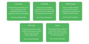 What it's like studying dentistry at griffith university