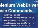 Selenium Webdriver With Java Commands Beginners