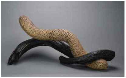 Gate Posts with No Gate