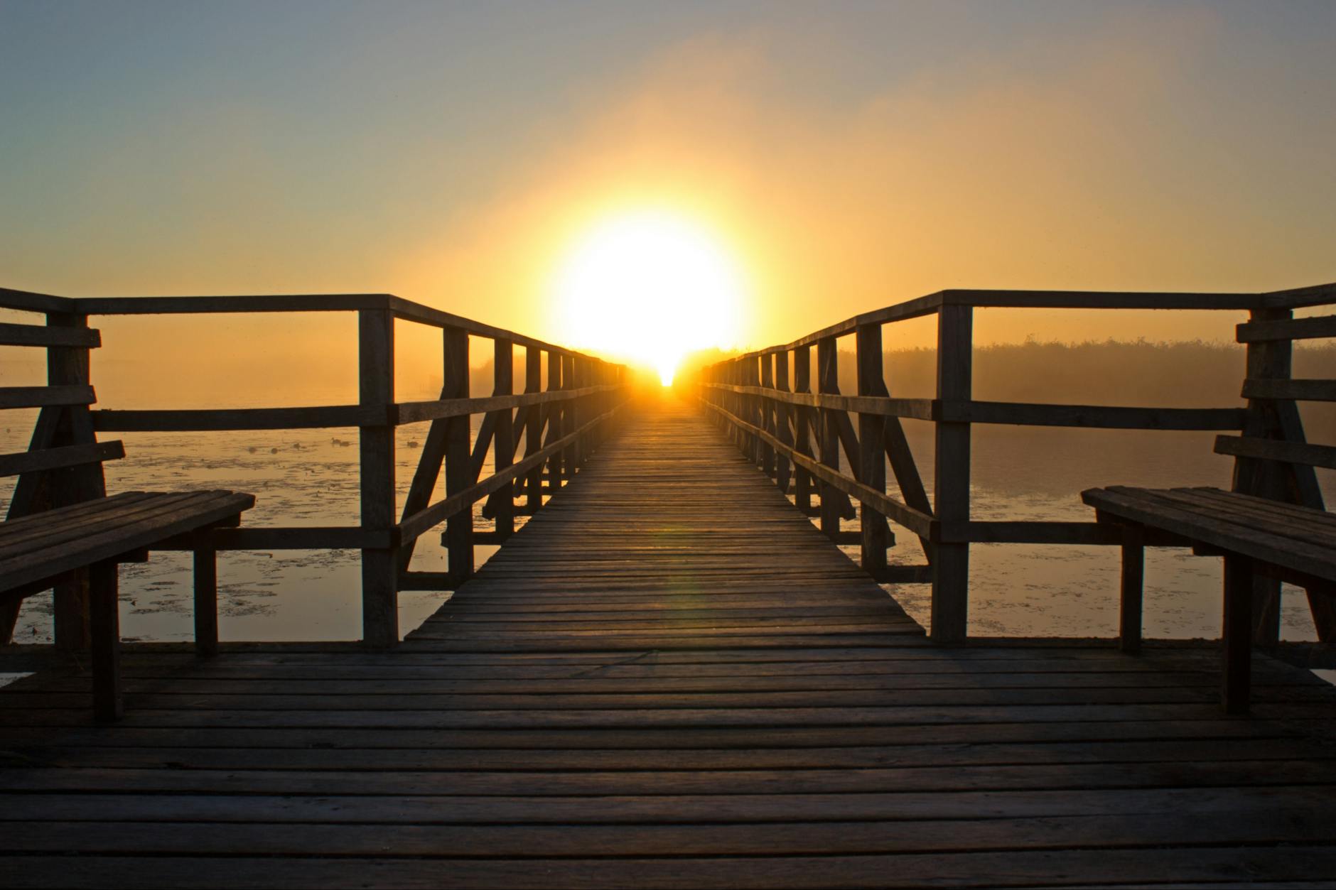 Read more about the article How to Maintain and Repair Your Charleston Dock Like a Pro