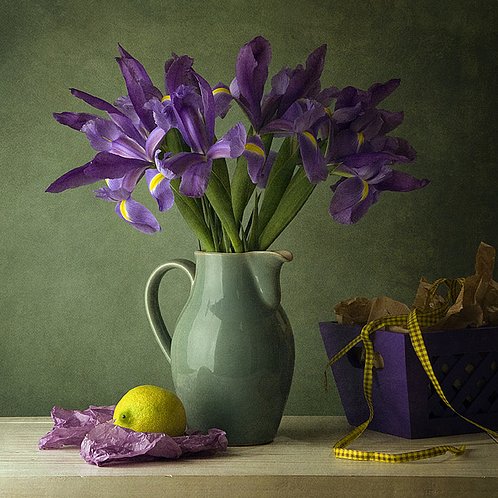 Still life photography by Anna Nemoy