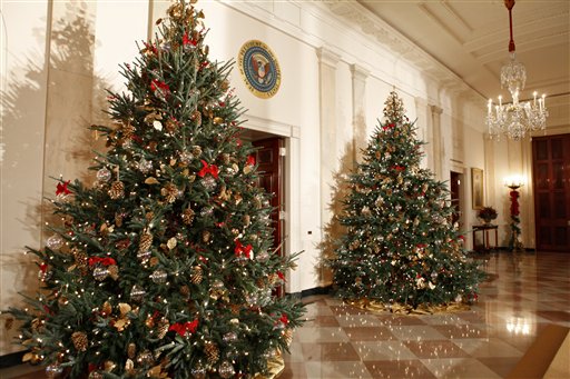 Christmas trees adorn the Cross Hall of the White House in Washington, Wednesday, Dec. 2, 2009, during a tour of the holiday decorations. (AP Photo/J. Scott Applewhite)