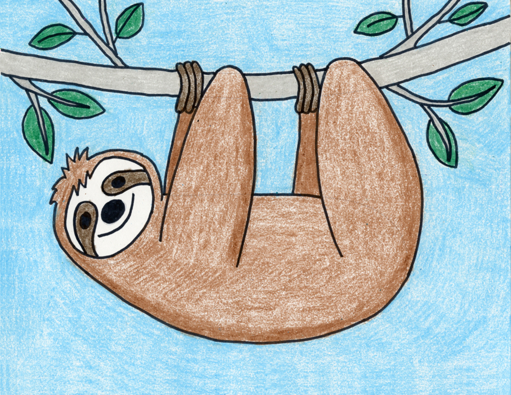 Easy To Draw Sloth Pictures Novocom Top