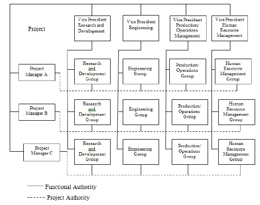 Matrix Organizational Structure Chart - The Matrix Structure Organisation Structure And Design Study Material Lecturing Notes Assignment Reference Wiki Description Explanation Brief Detail