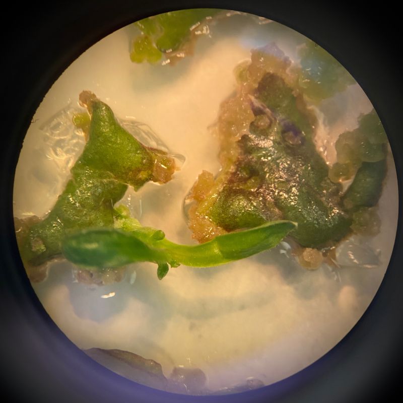 Chic Innovation Consortium Art Science Node - Download Ultra HD Abstract Illustration | 8K