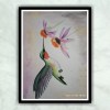 Humming Bird Watercolor Painting