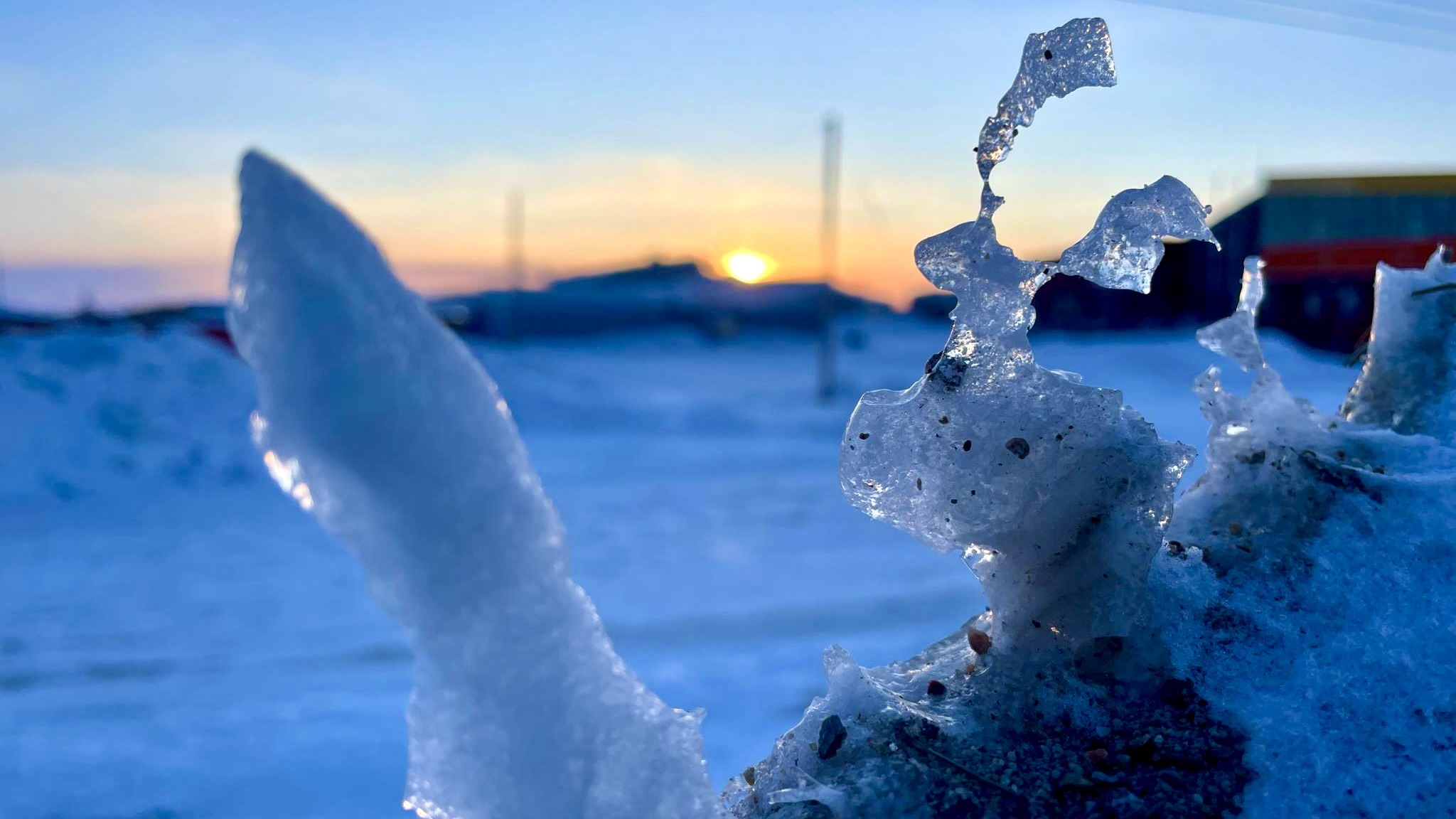 Ice rises like fingers sculpted in a moment of thaw—sharp, delicate, reaching toward the low sun. In this blur of focus, what is foreground and what is memory? A crystallized tension sits between presence and erosion, the dirt and grains trapped inside as witness. Nothing here is still, though everything looks like it might be.
