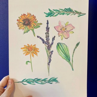 Botanical watercolour art print, hand painted skincare ingredients