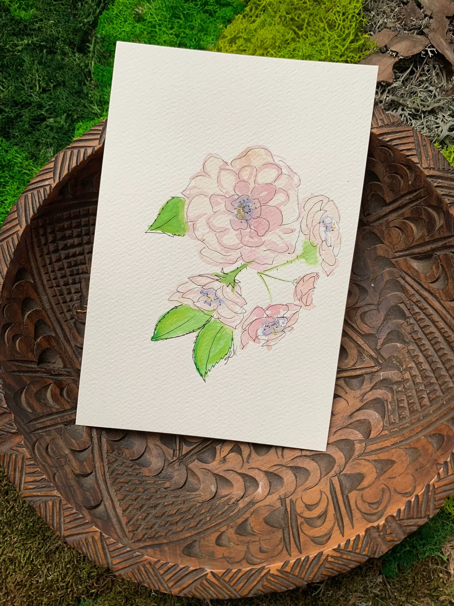 Wild rose art print, watercolour botanical series
