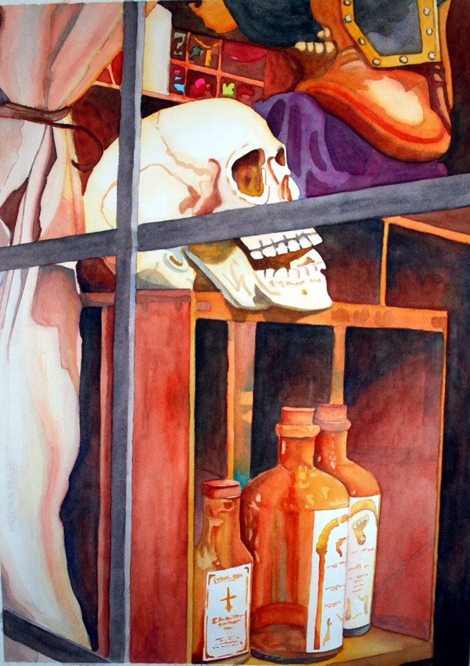 Obscura Fenestra