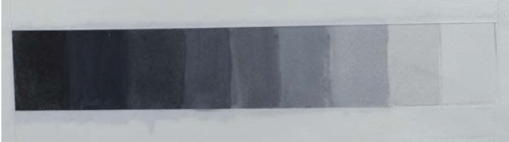 Watercolour value scale example with layered washes