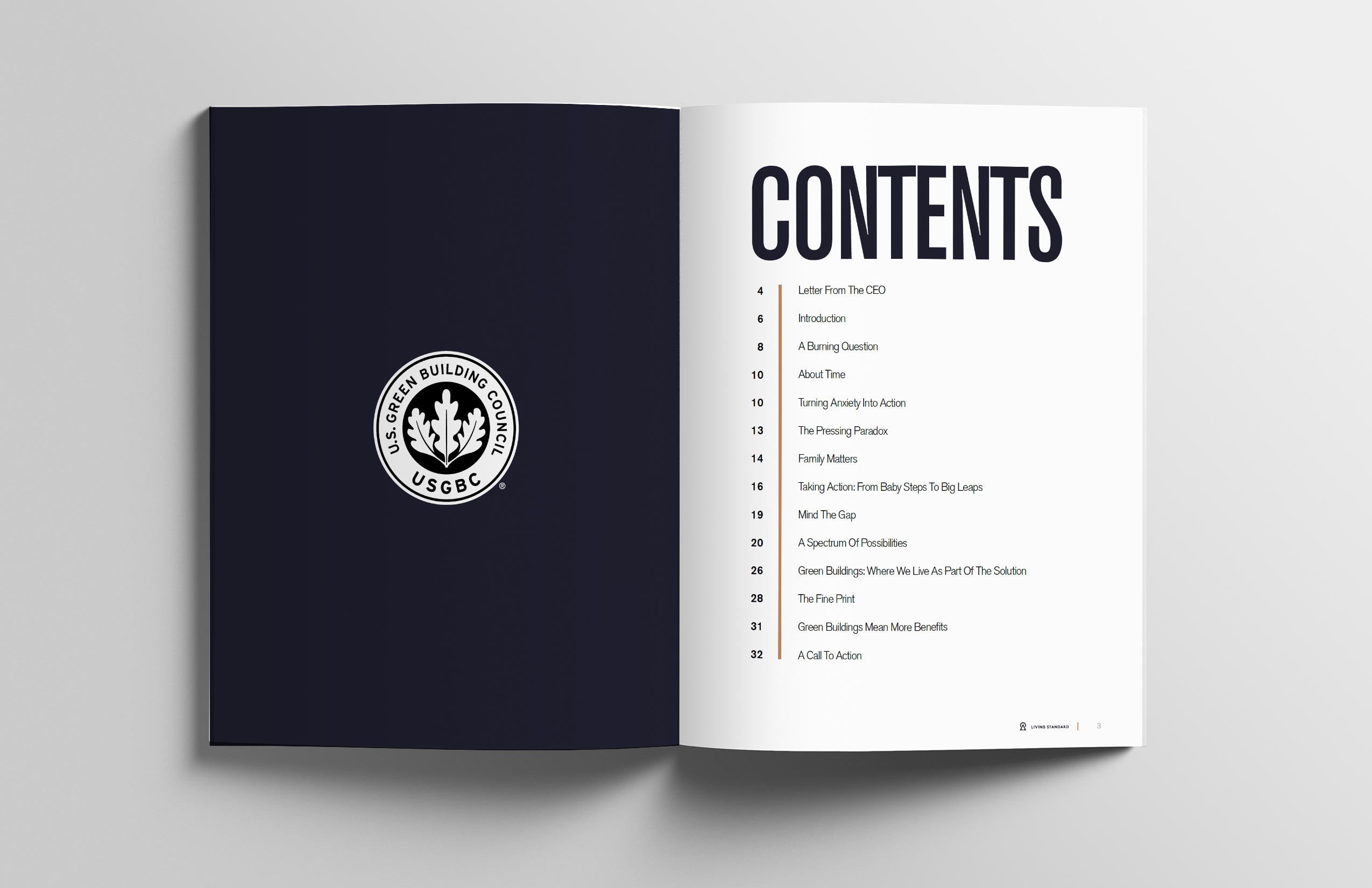 Spread of company information and table of contents report.