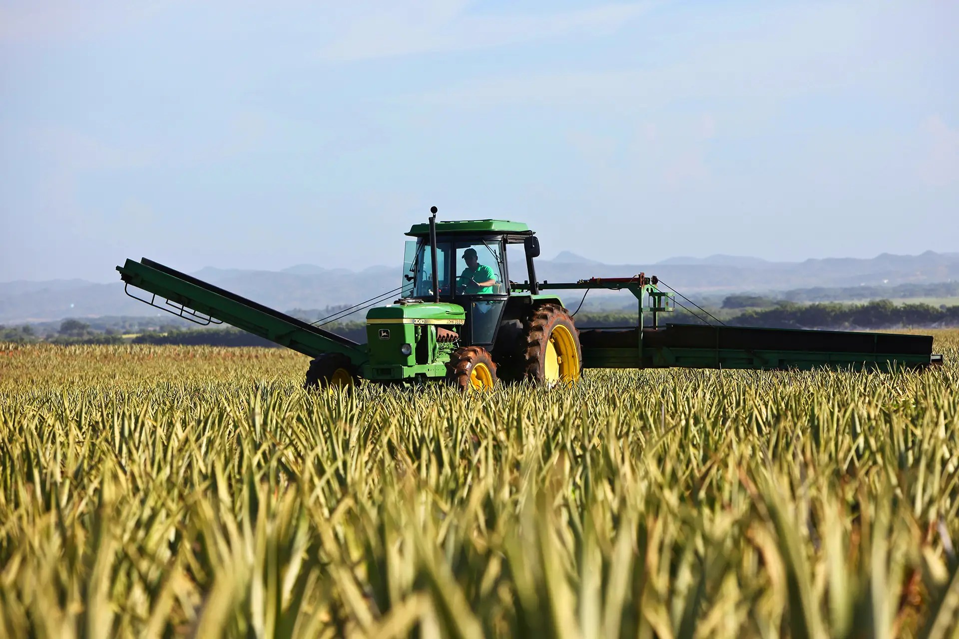A farmer inside a tractor machine harvesting field.
