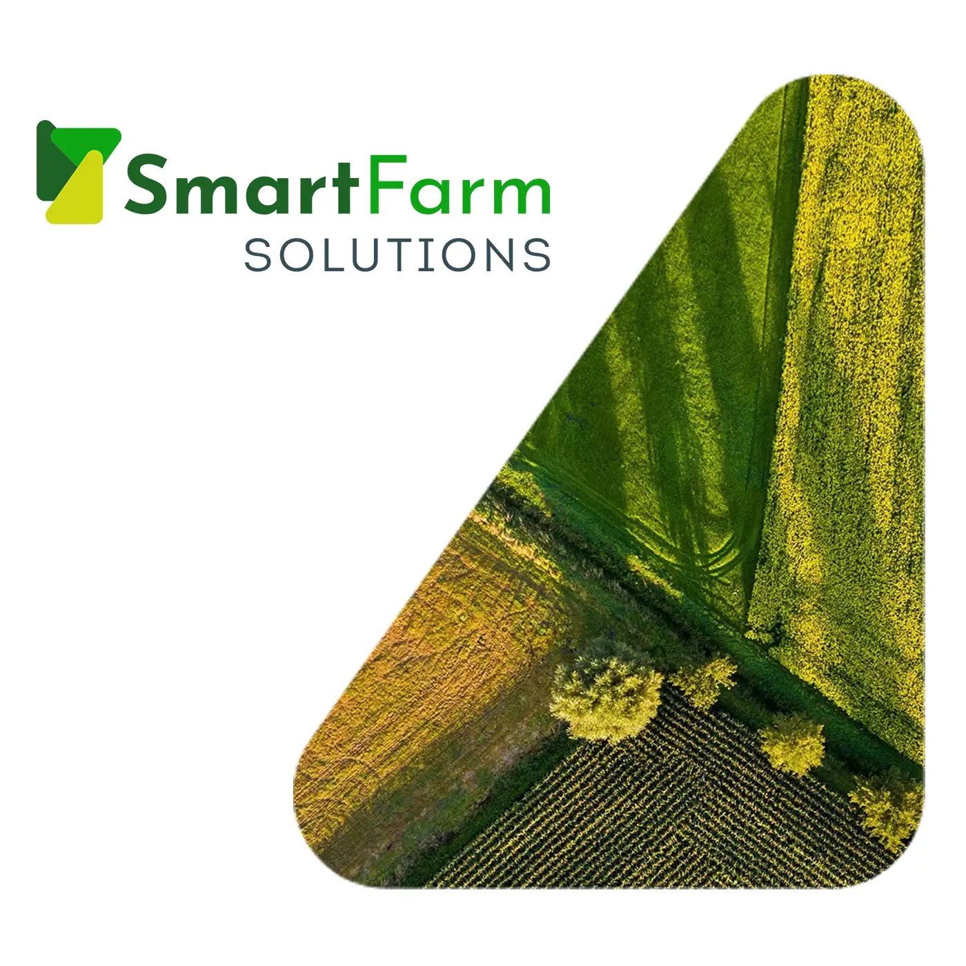 Logo design and logo mark for an agriculture AI company.