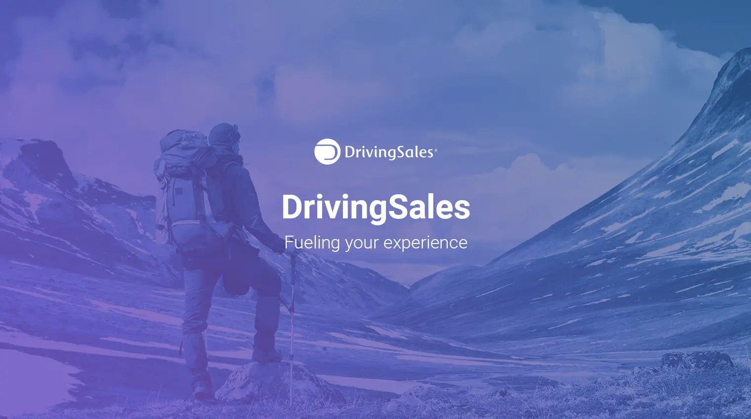 DrivingSales products designed by ArtVH digital agency