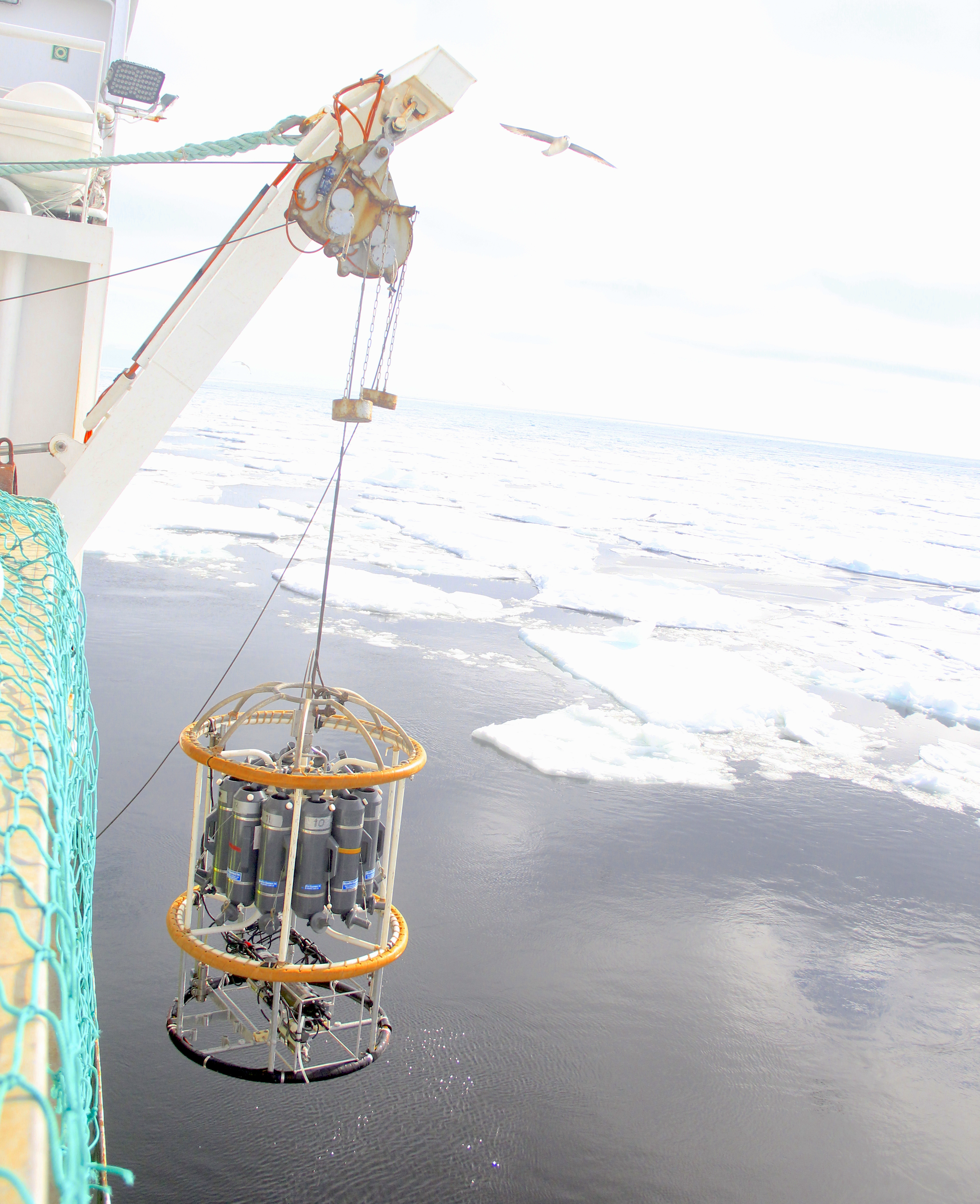CTD drop in the Barents Sea