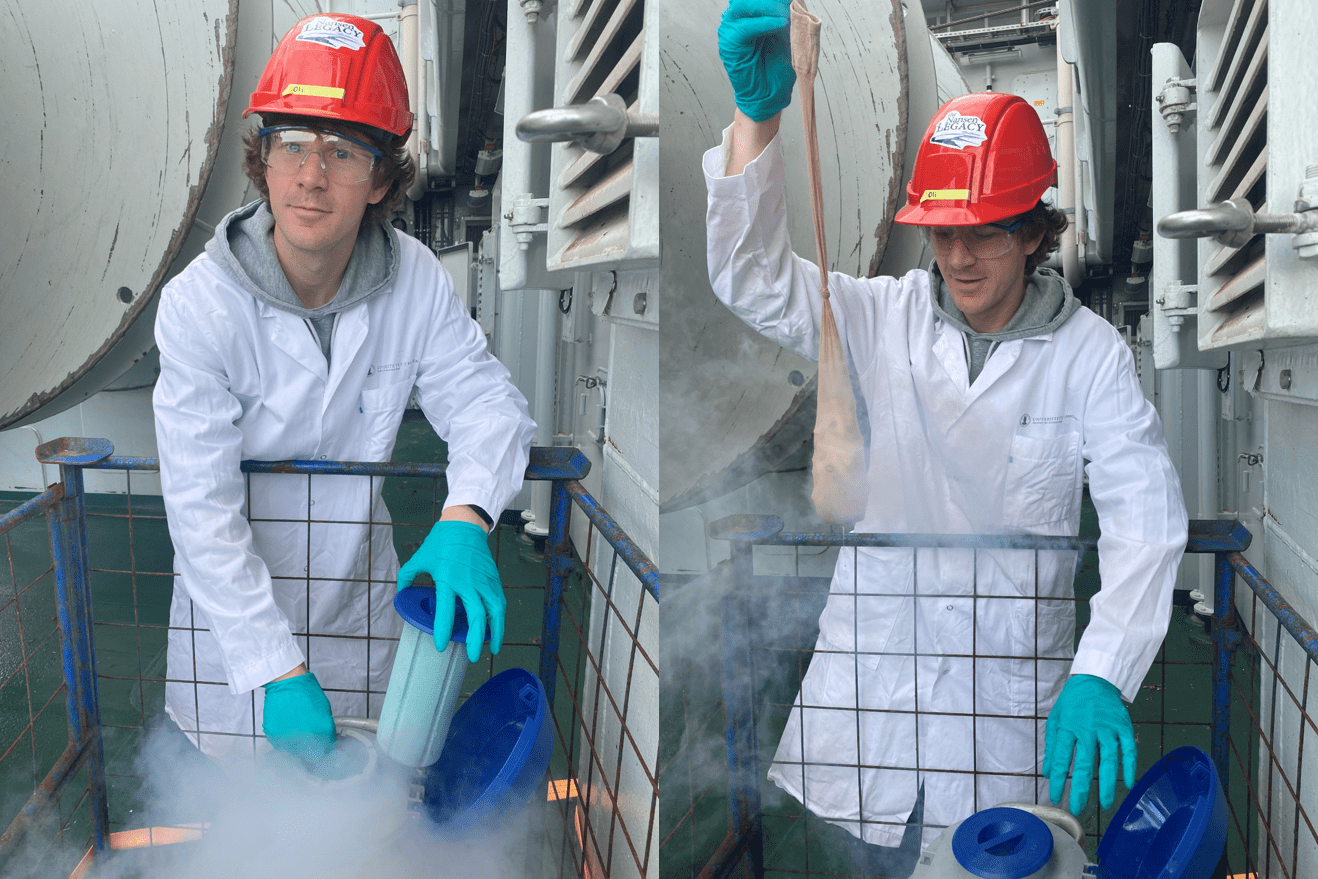 stocking in use on cruise