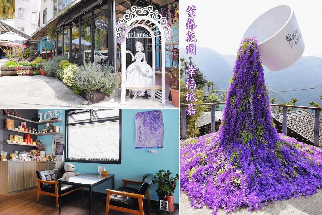 嘉義瑞里紫藤花季【瑞里小公主咖啡】嘉166線道紫藤花、火鍋、下午茶