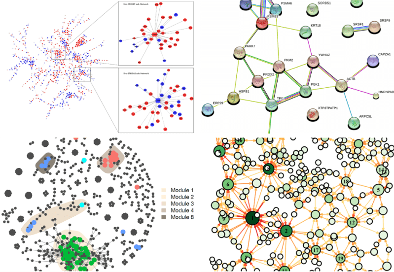 Plot Use Networkd3 Netd3plot Metanet - Classic Minimal Texture - Mobile
