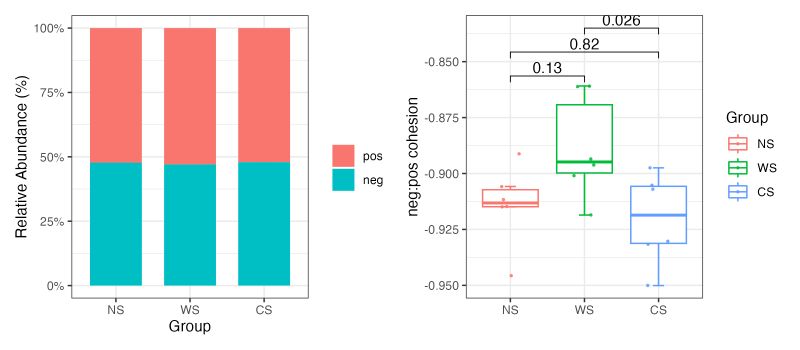 Metanet Network Analysis For Omics Data 6 Stability - Best Vintage Arts in 8K