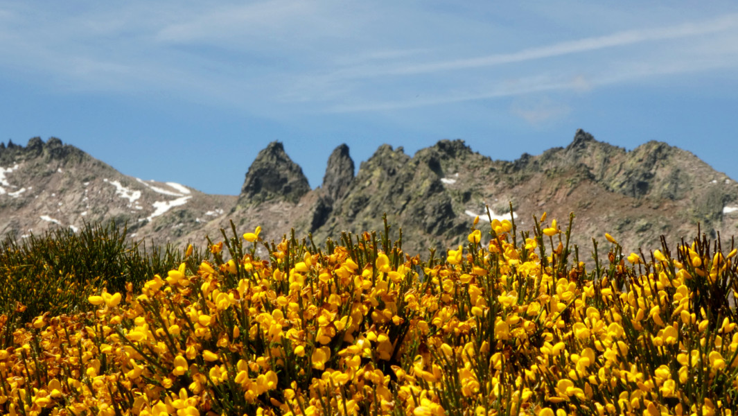 Sierra de Gredos - Hoyos del Espino - DESTACADA
