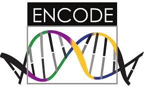 encode