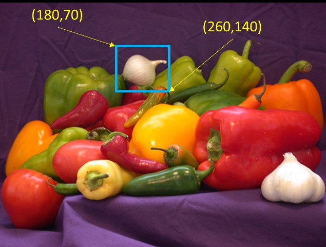 Turtlebot Projects - Nature Images - Creative Retina Collection