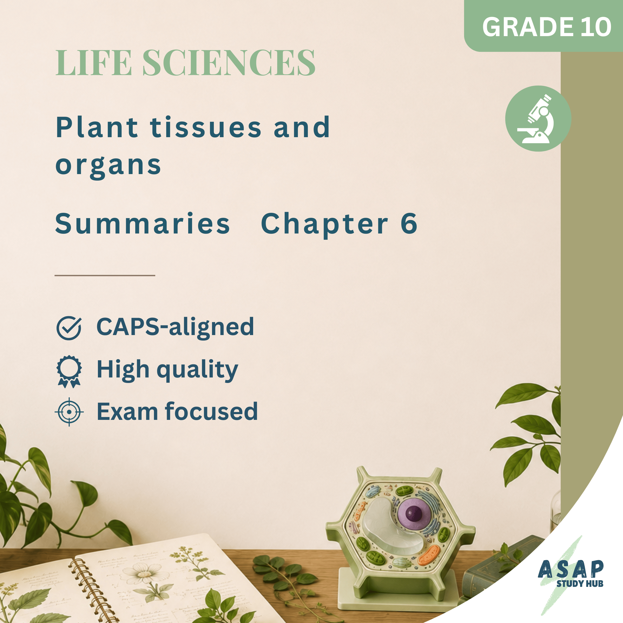 LS-Gr.10 Chapter 6 (Plant tissues & Organs)
