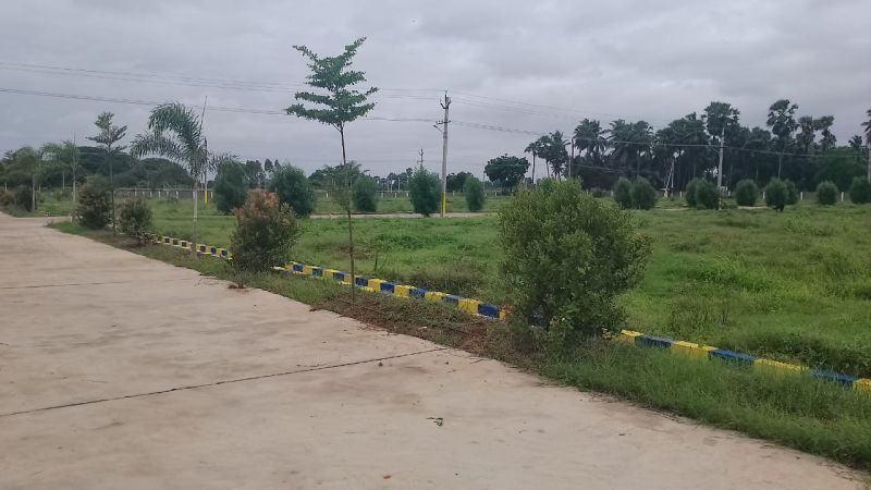 Sai Sankar Nagar Asb Developers - Best Minimal Designs in Retina