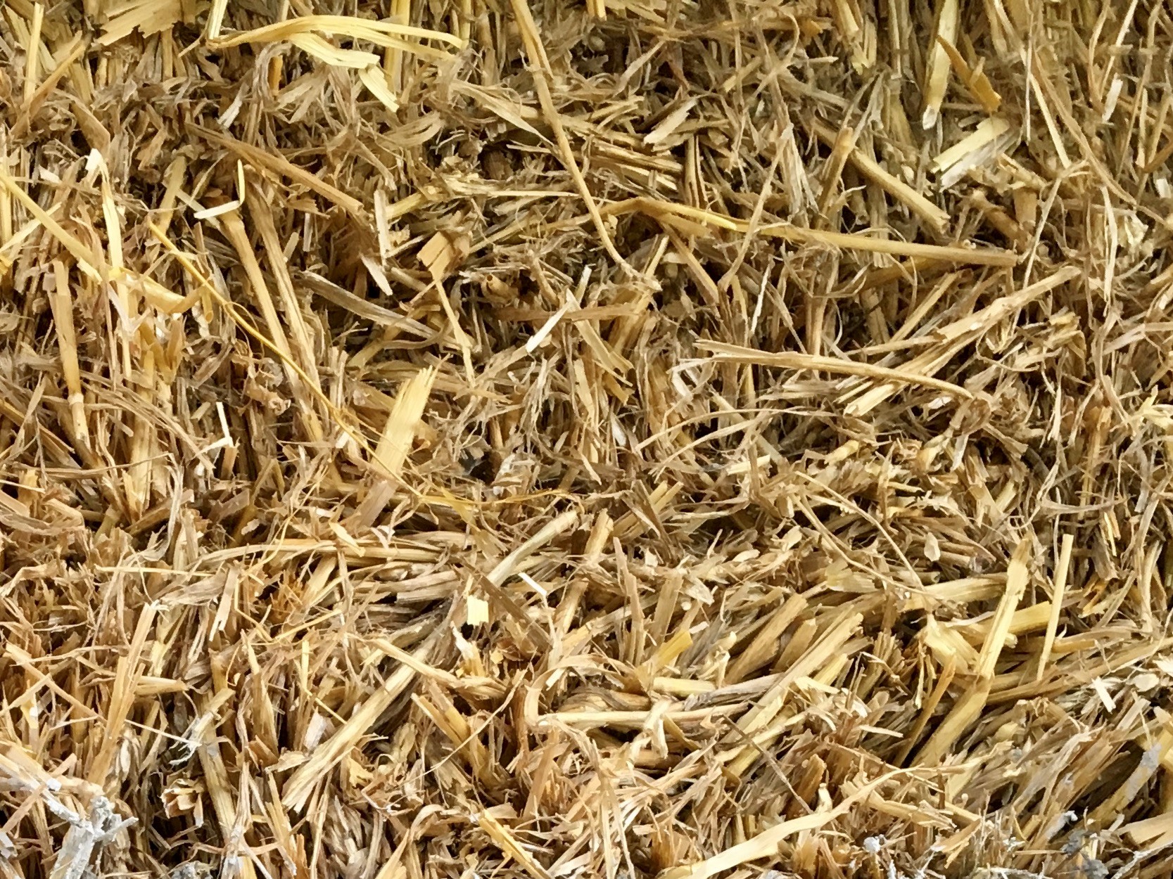 Straw insulation