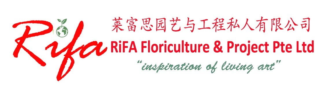 WhatsApp Image 2021-12-01 at 14.41.41