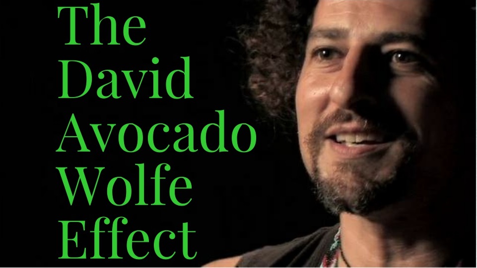 David Avocado Wolfe Effect