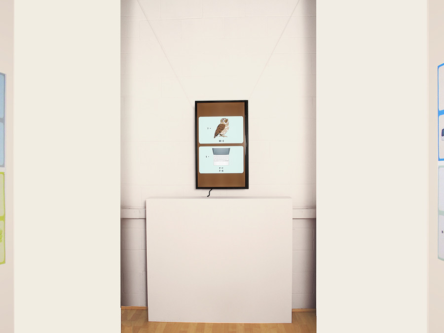 Installation view of Tim Roseborough's The Rebus Names Project at ASC Projects, 2014