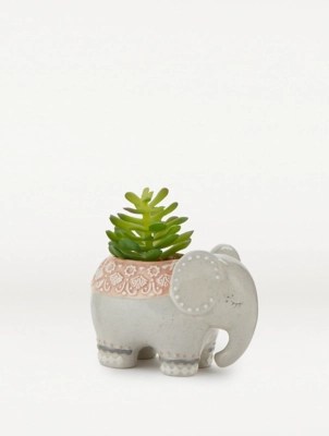 How to pot your plant: Decorative Elephant Succulent Home George At Asda