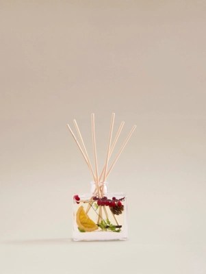 Red Winter Berries Diffuser Red 200ml - Incredible 4K Light Textures | Free Download