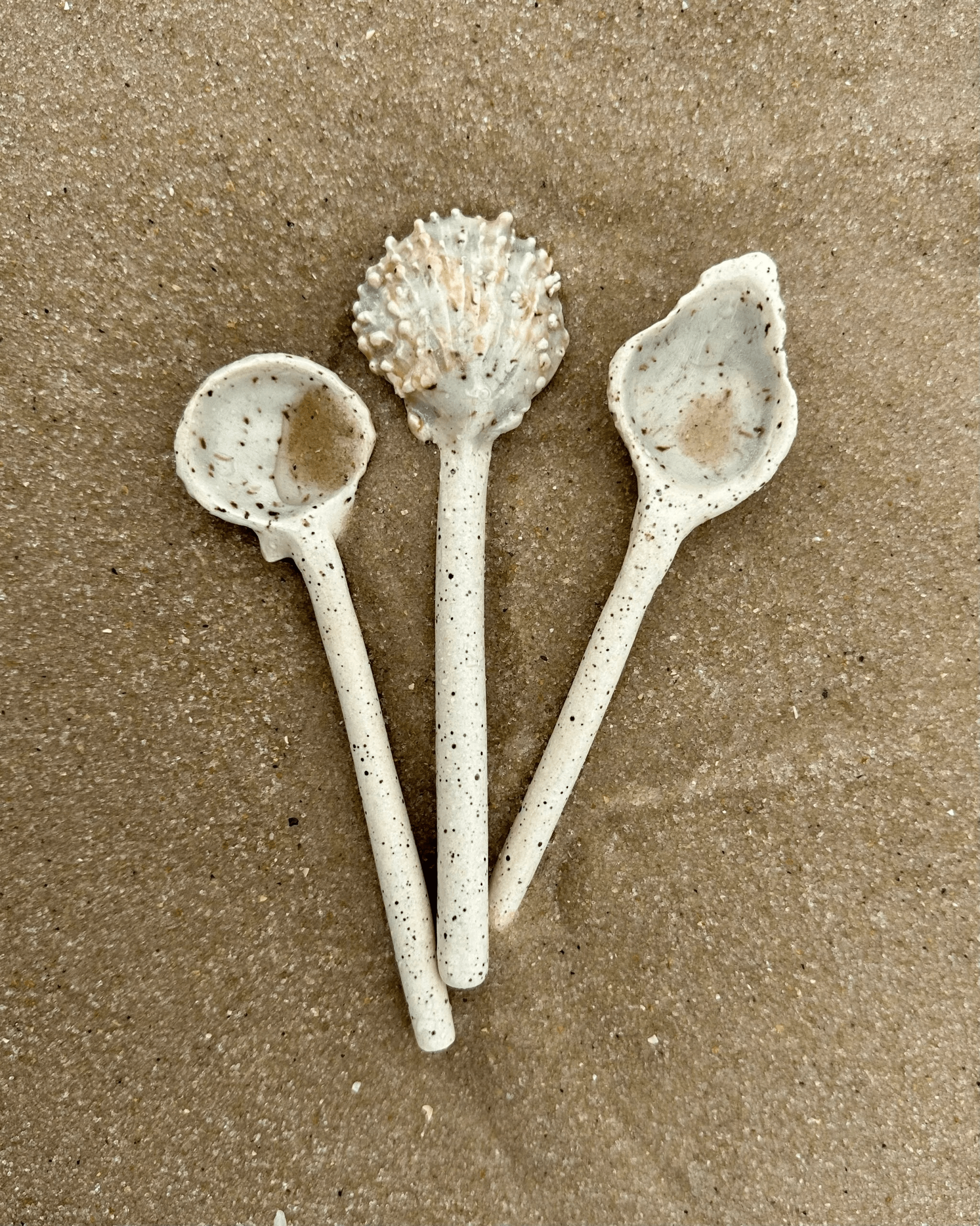 Sea Shell Spoons