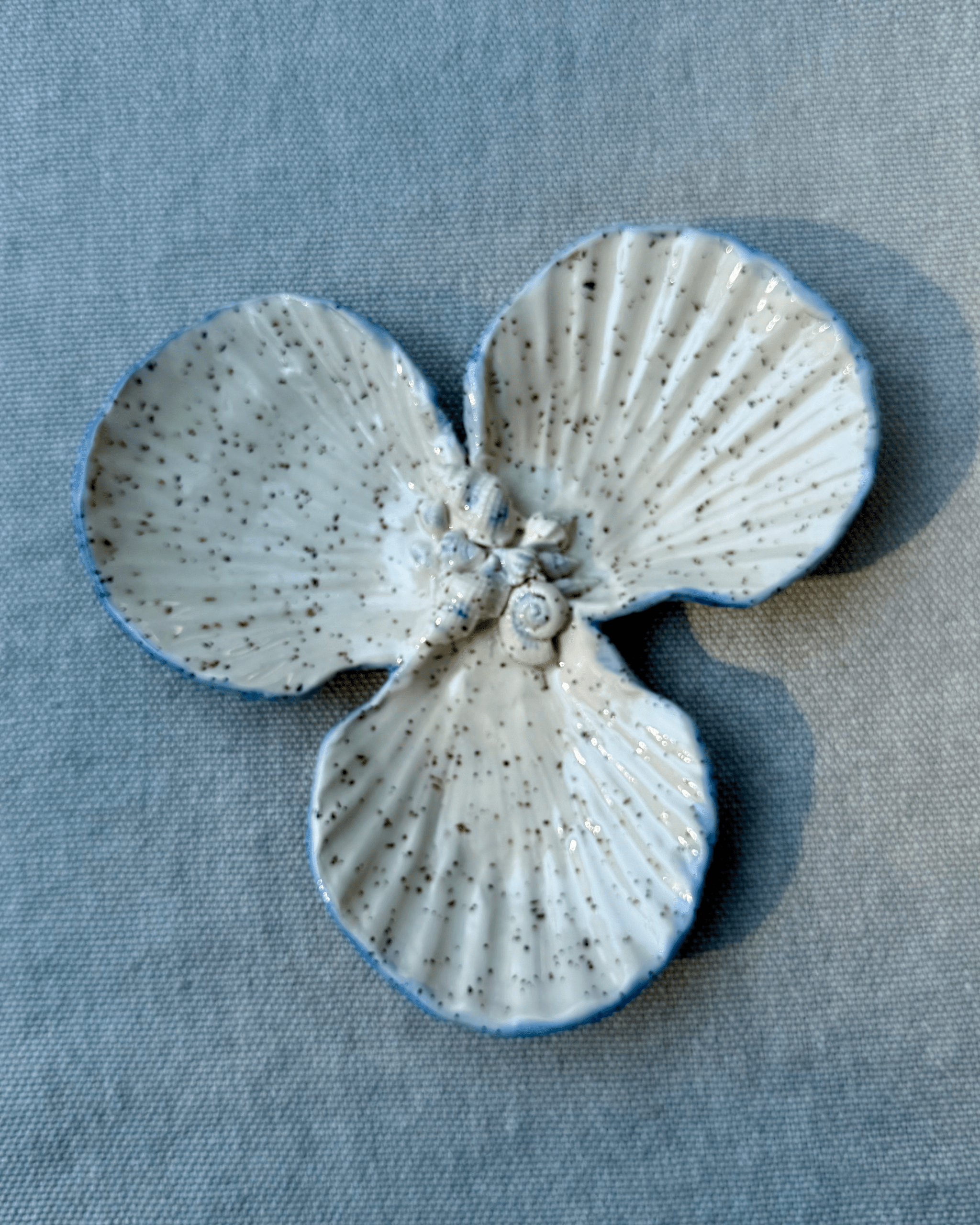 Ceramic 3 Sea Shell Tray 2
