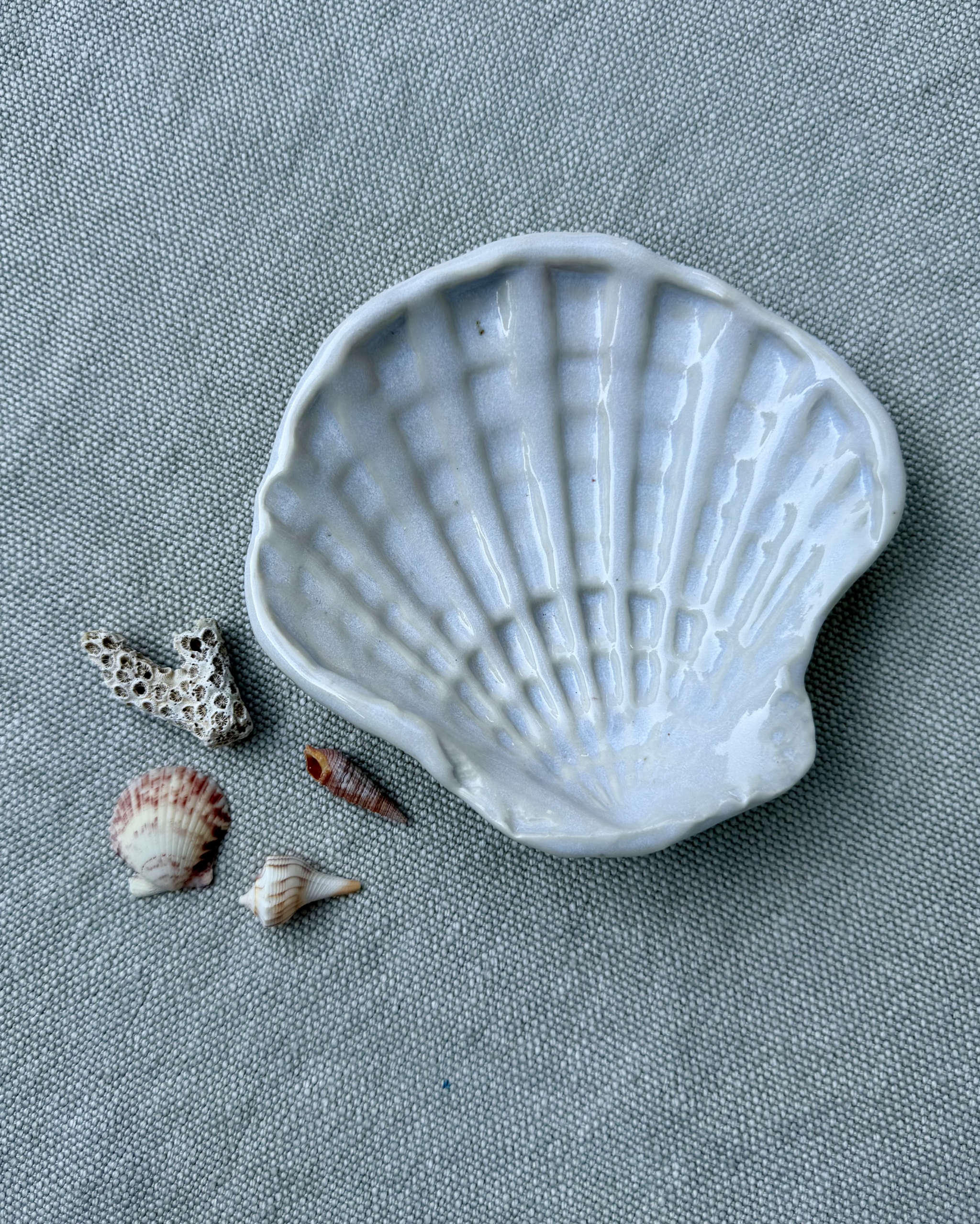 Ceramic Scallop Shell