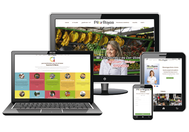 Assertive Marketing strategic web management digital strategy digital strategies development web pages virtual stores e-commerce SEO positioning 45