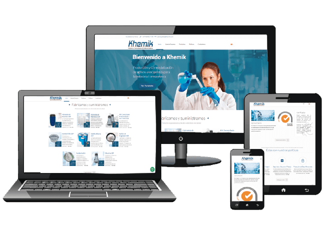 Assertive Marketing strategic web management digital strategy digital strategies development web pages virtual stores e-commerce SEO positioning 58