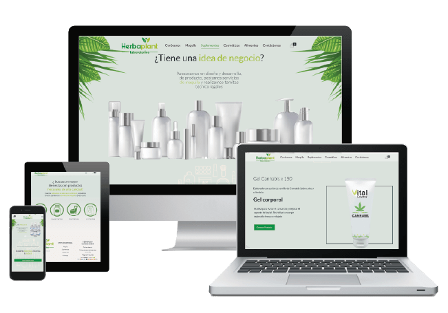 Strategic web management administration digital strategy strategies development web sites developers virtual stores e-commerce SEO positioning 37