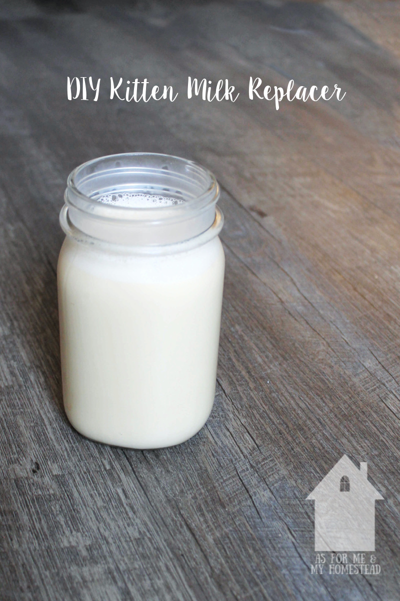 DIY Kitten Milk Replacer Recipe