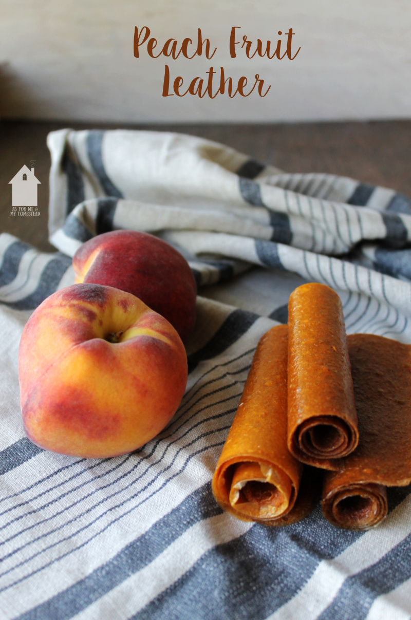 Peach Fruit Leather
