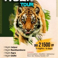 asha tours and travels